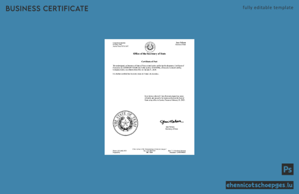 USA Texas: Beispiel- und PDF-Vorlage für eine Echtheitsbescheinigung